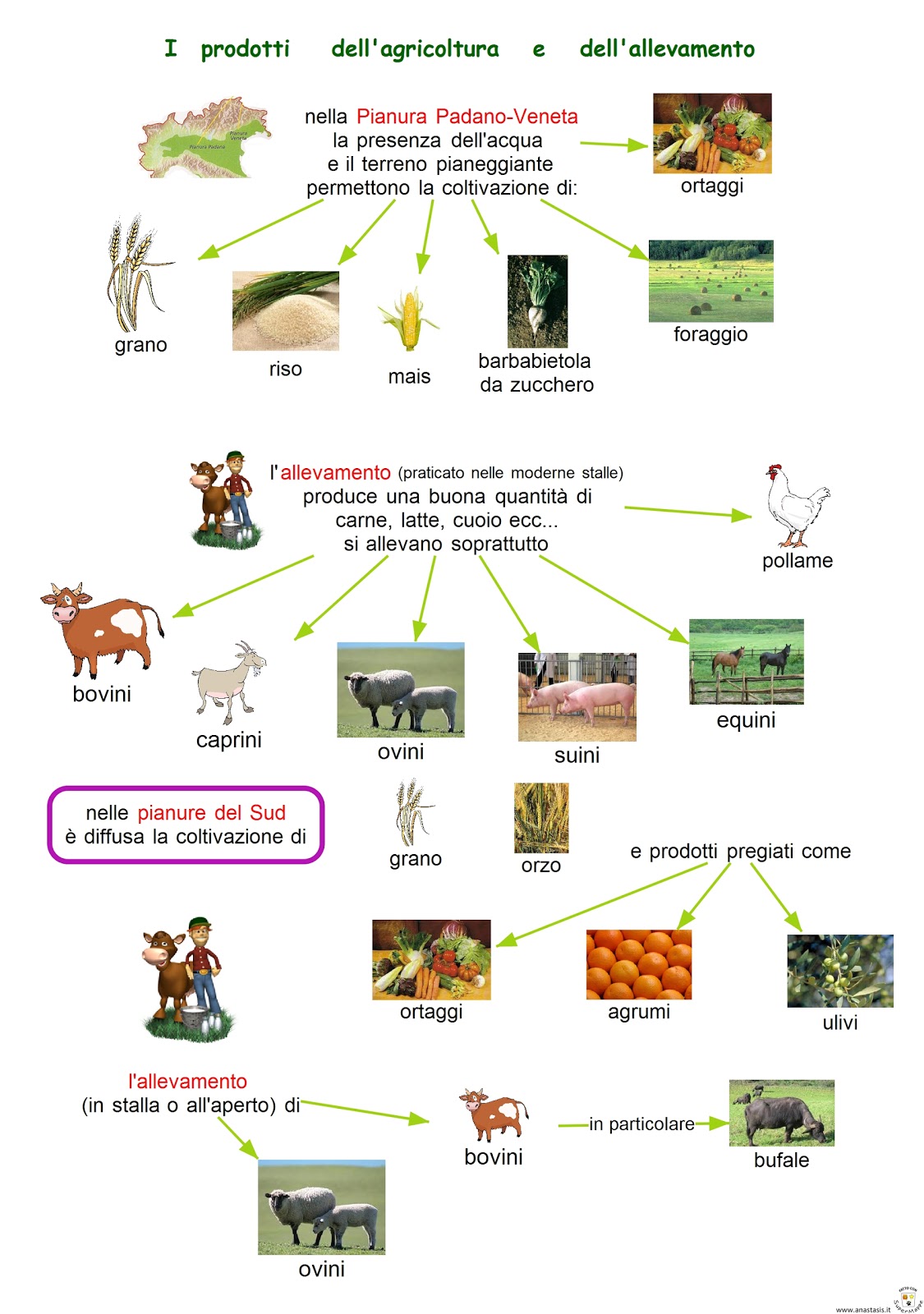 Immagini Del Settore Primario