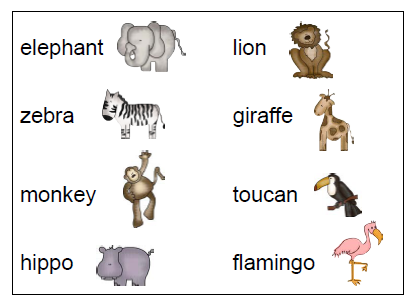 Creative writing zoo