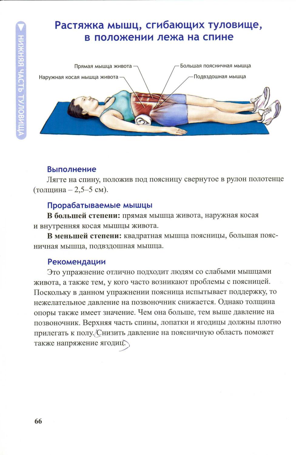 Болит позвоночник лежа. Упражнения лежа на спине. Упражнение на растяжение мышц живота. Упражнения из положения лежа на спине. Упражнения на пышцы спины Леда.
