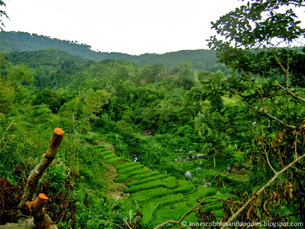 Mambukal Falls and Resort Negros