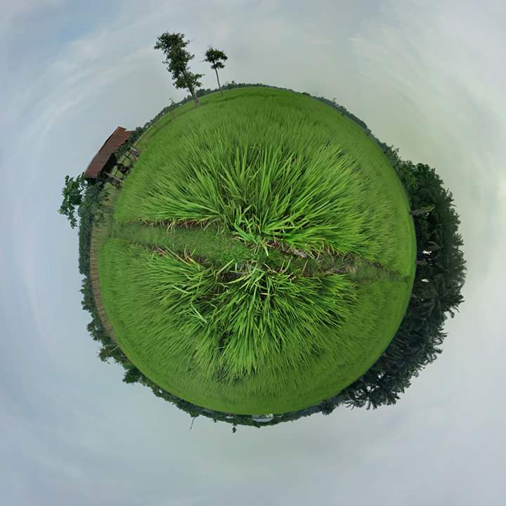 Cara membuat efek tiny menggunakan google camera