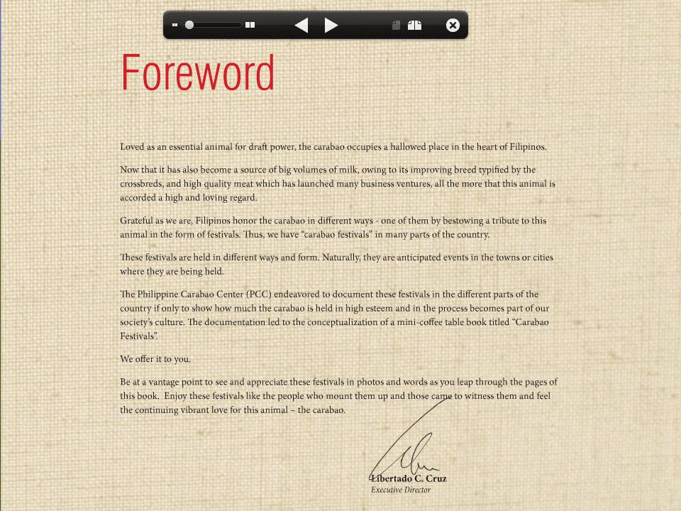 Design Journal November 2012