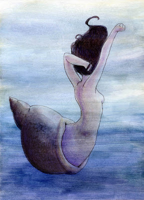 mermaid shell watercolor illustration