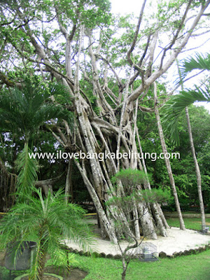 Wisata Religi Gua Maria Pelindung Segala Bangsa Kecamatan Belinyu Kabupaten Bangka Propinsi Bangka Belitung - Indonesia Wisata Religi Gua Maria Pelindung Segala Bangsa Kecamatan Belinyu Kabupaten Bangka Propinsi Bangka Belitung - Indonesia