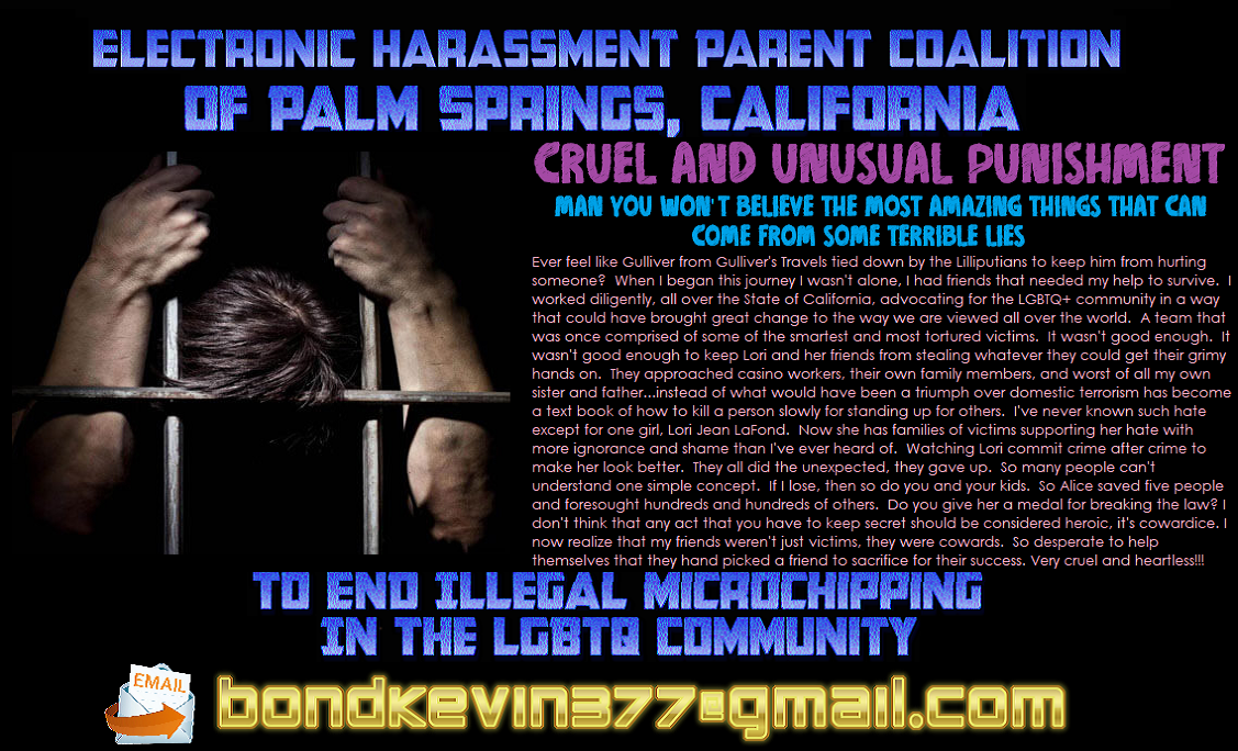 Electronic Harassment Parent Coalition of Palm Springs, California What Can We Learn From
