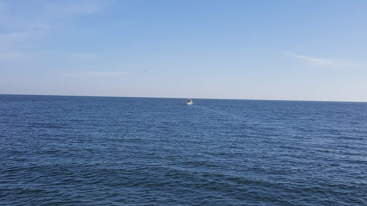 this is my bluegill heaven just ahead of us the many dolphins were escorting us as we waved good bye to the panhandle of florida a good omen we thought this is my bluegill heaven just ahead of us the many dolphins were escorting us as we waved good bye to the panhandle of florida a good omen we thought