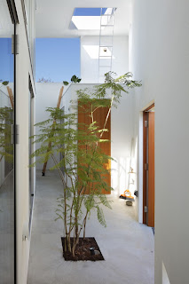 Takeshi Hosaka Casa Tokio