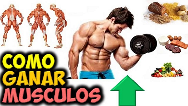 Que puedo tomar para eliminar grasa abdominal photo 9