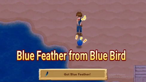 How to Get Blue Feather in Harvest Moon: Light of Hope