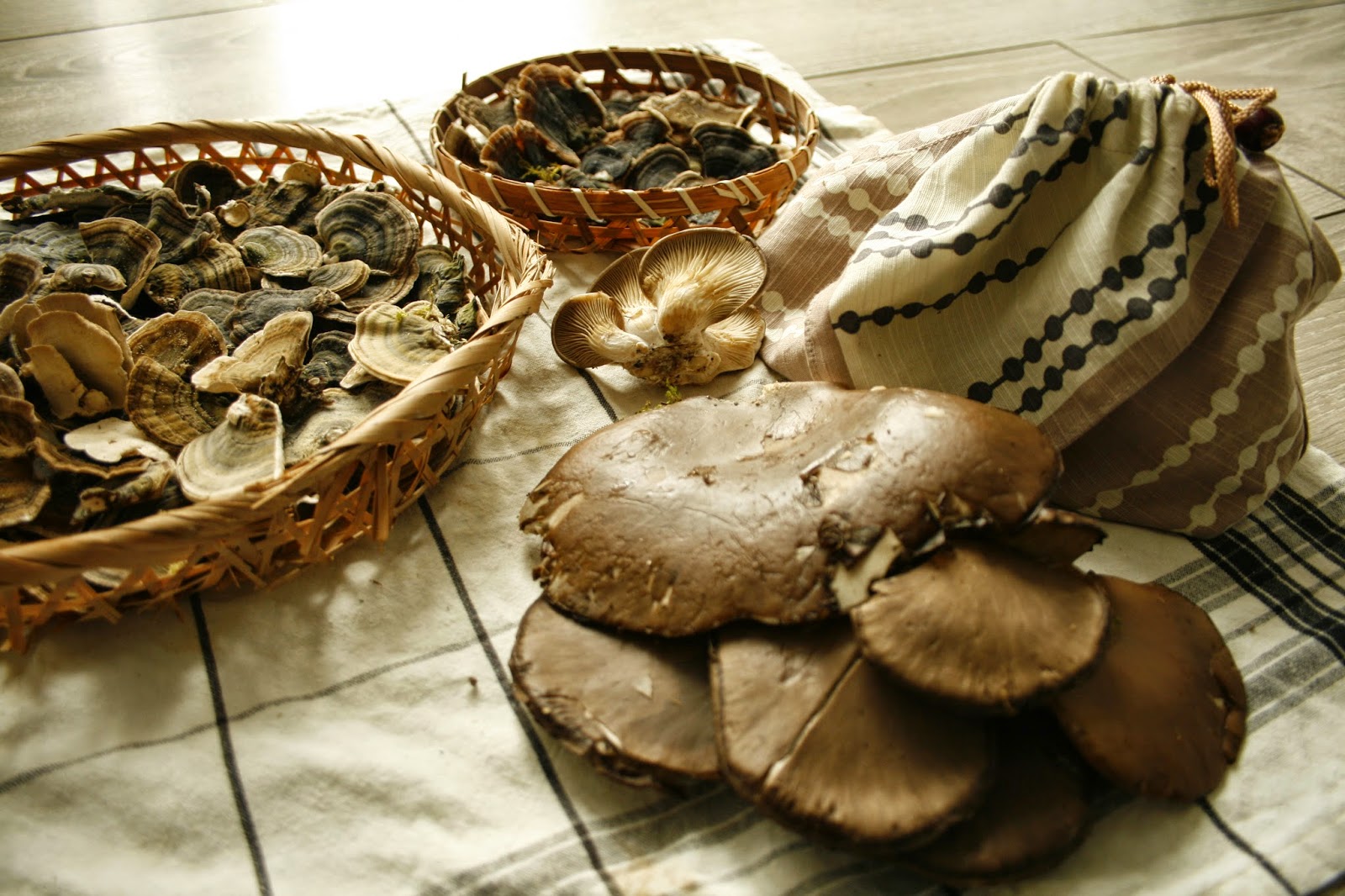 Cultiver des champignons comestibles à la maison
