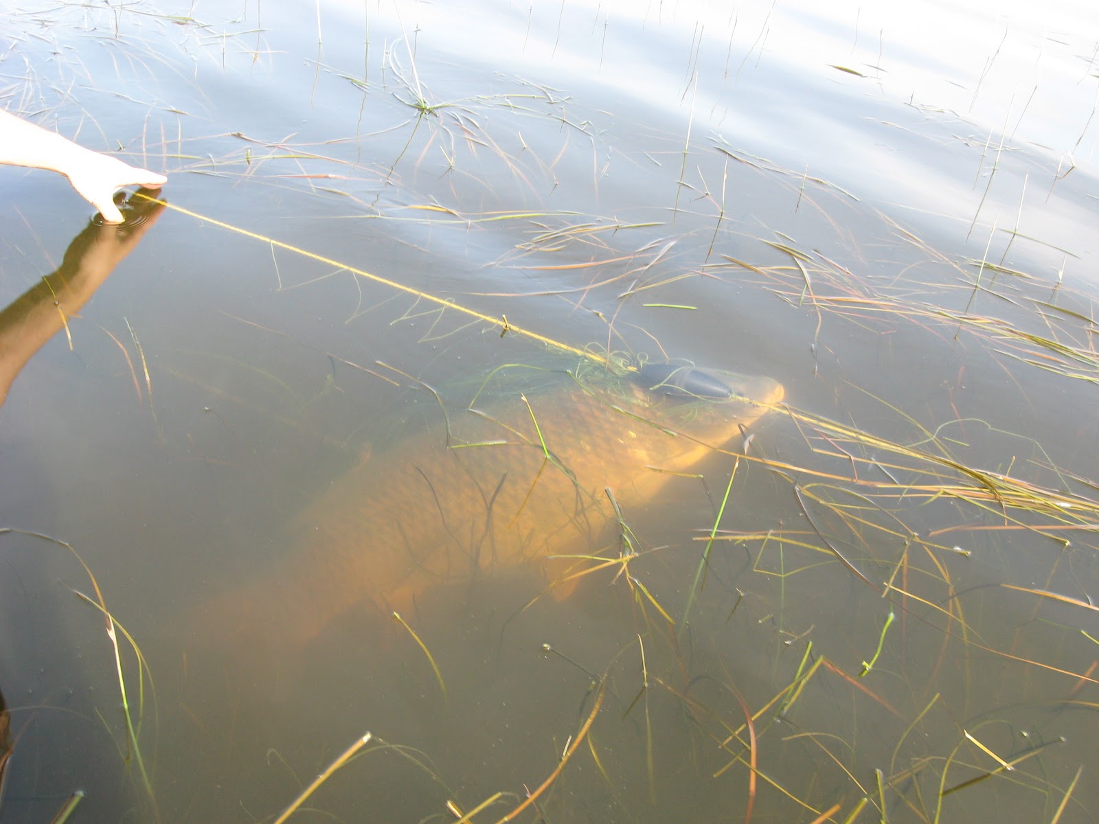Centre d'interprétation de BaieduFebvre Découvrir le Lac StPierre.