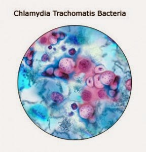Gambar Chlamydia