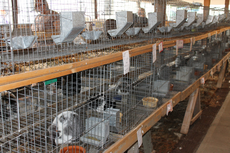 Cornerstone Retreat Poultry and Rabbit Barn