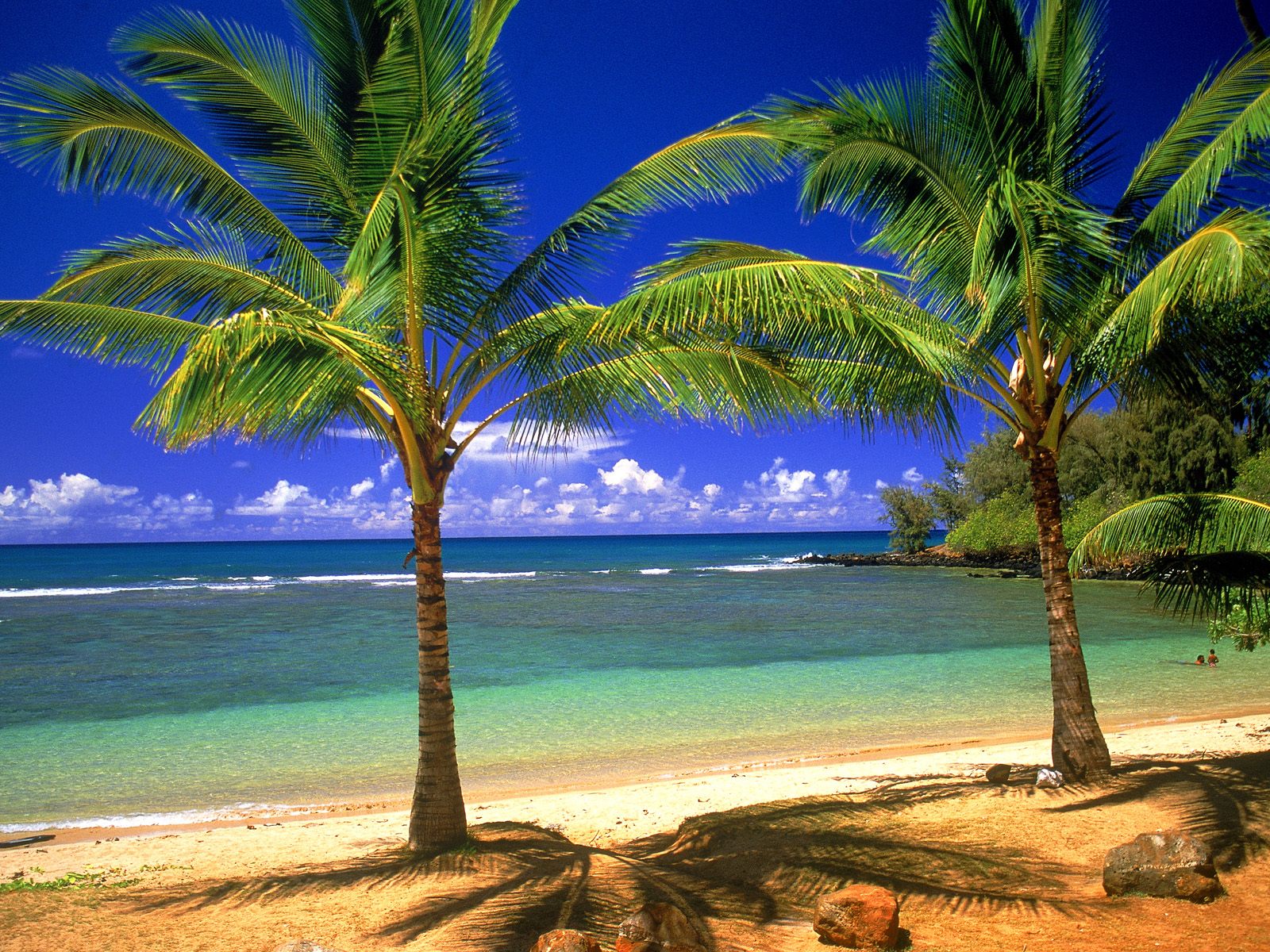 tropical island scenery