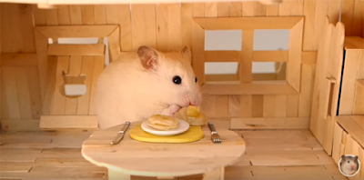 Homemade Hamster treats