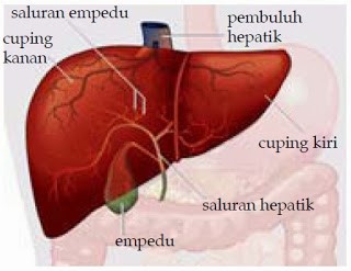 Sederhana Pentingnya Menjaga Hati Sederhana Pentingnya Menjaga Hati