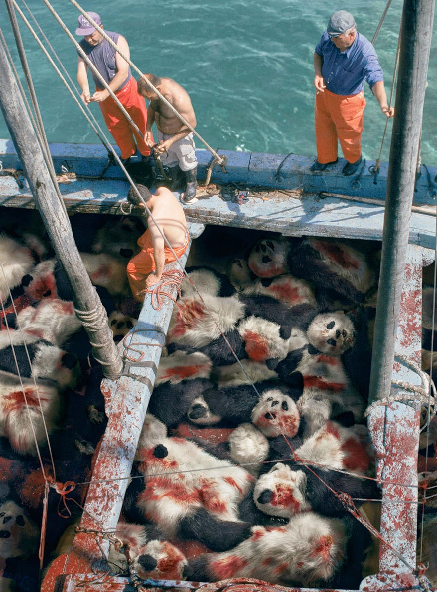 40 Of The Most Powerful Social Issue Ads That’ll Make You Stop And Think - Sea Shepherd Conservation Society: When You See A Tuna, Think Panda