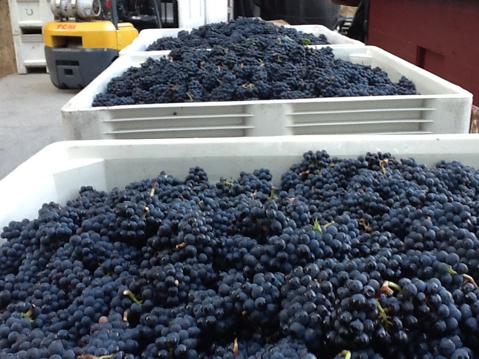 Brehm Vineyards "Fine Wine From Fine Grapes" 2012