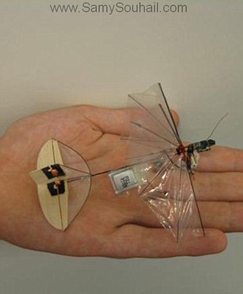Как сделать микро как у derzko69. Орнитоптер дрон. Микро орнитоптер. Самый маленький беспилотник в мире. Мухолет летательный аппарат.