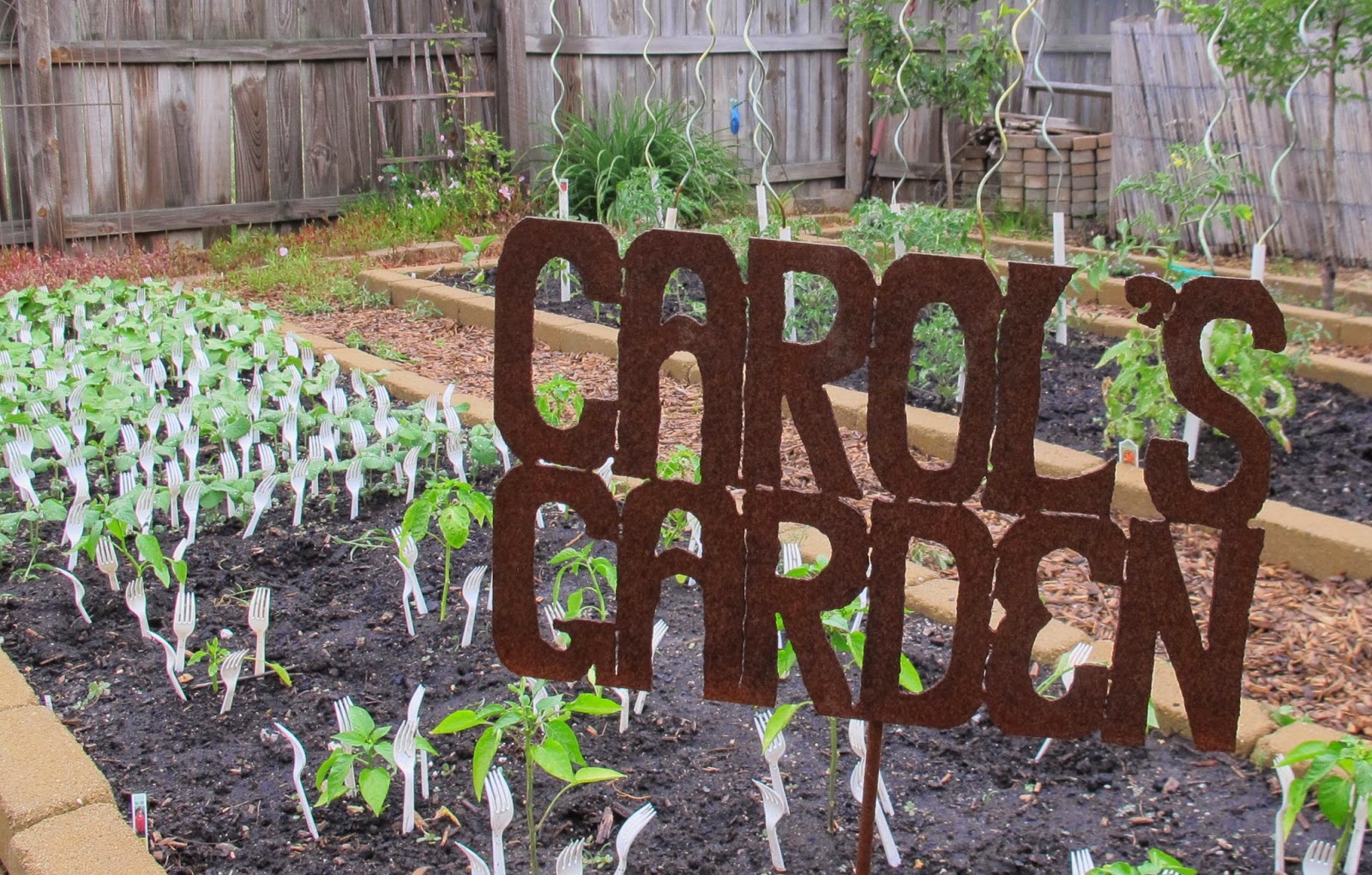 Dear Friend and Gardener Time is Marching Out of the Garden