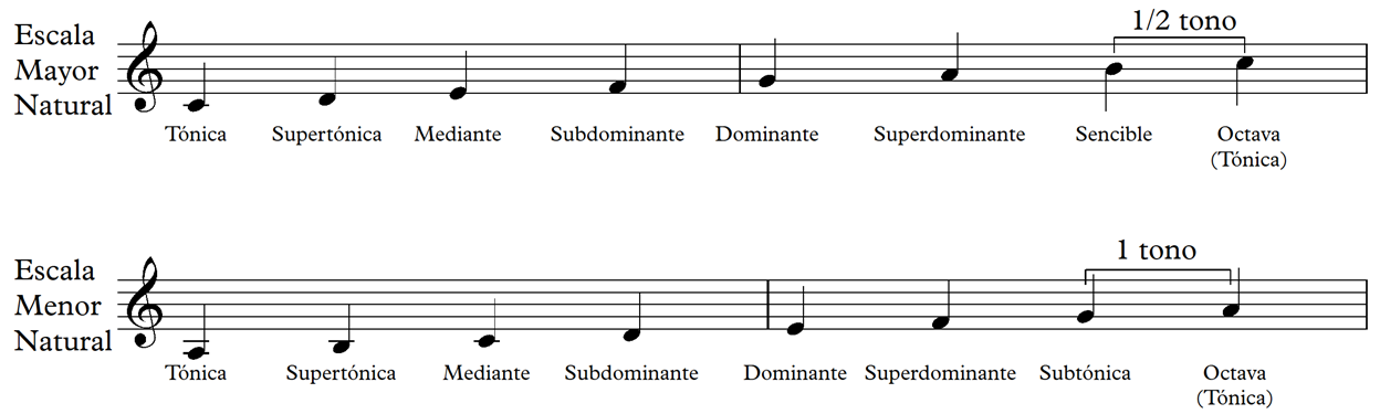 2 9 Grados De La Escala Clase De Lenguaje Musical