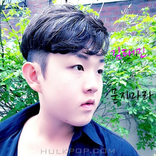 Kim Tae Min – 묻지마라 – Single