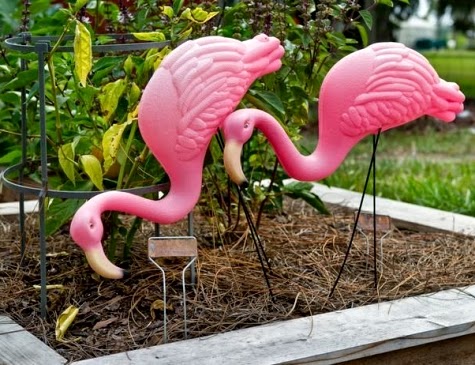 pink yard flamingos Florida blog cabin