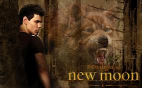Twilight 2013
