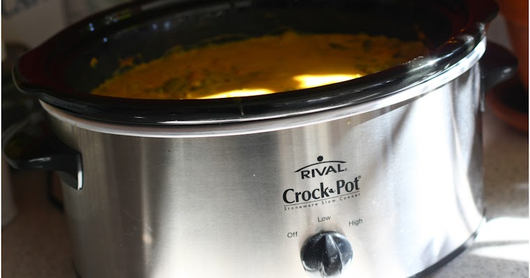 You know how we're an art family...: a vegetarian crock pot