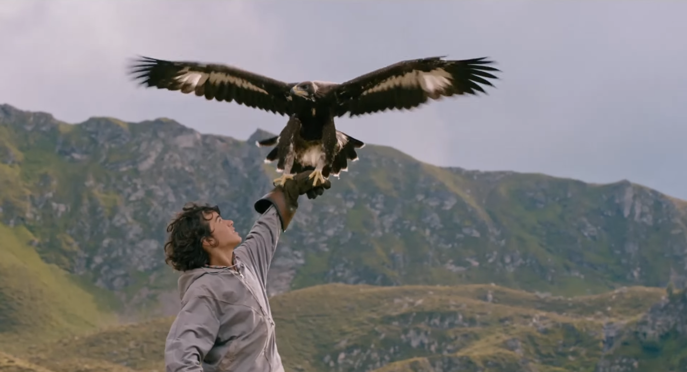 wie brГјder im wind stream wie brГјder im wind stream