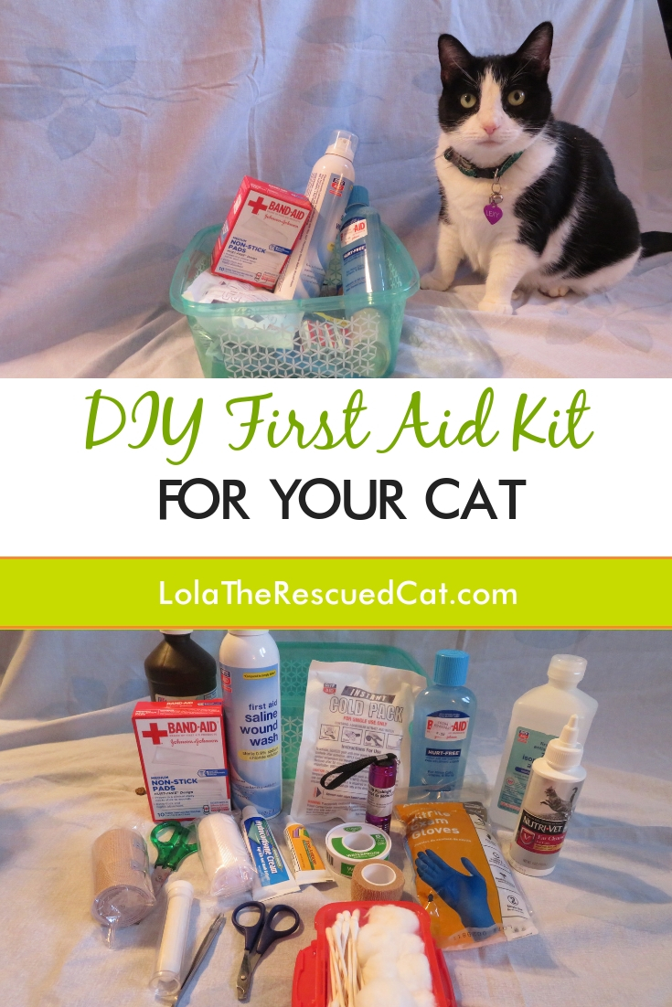 Lola The Rescued Cat DIY First Aid Kit for Your Cat