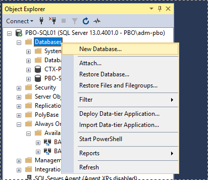 Patrick van den Born - Blog: How to: Configure Citrix XenApp/XenDesktop ...