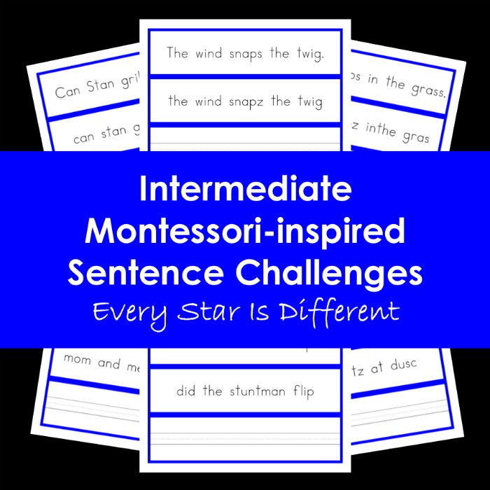 Intermediate Montessori-inspired Sentence Challenges