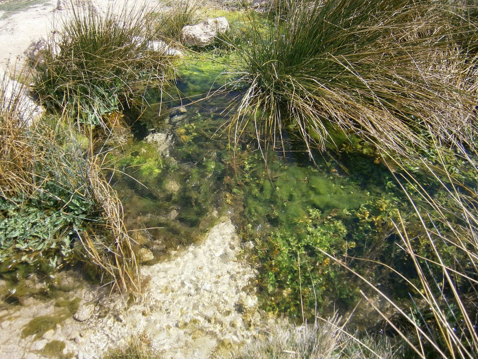 Cascada Tobacea Valdemoro Sierra, Autor: Miguel Alejandro Castillo Moya