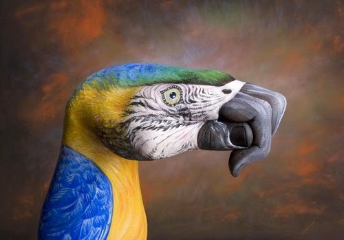 03-Parrot-On-Brown-Guido-Daniele-Painting-Animals-on-Hands-www-designstack-co