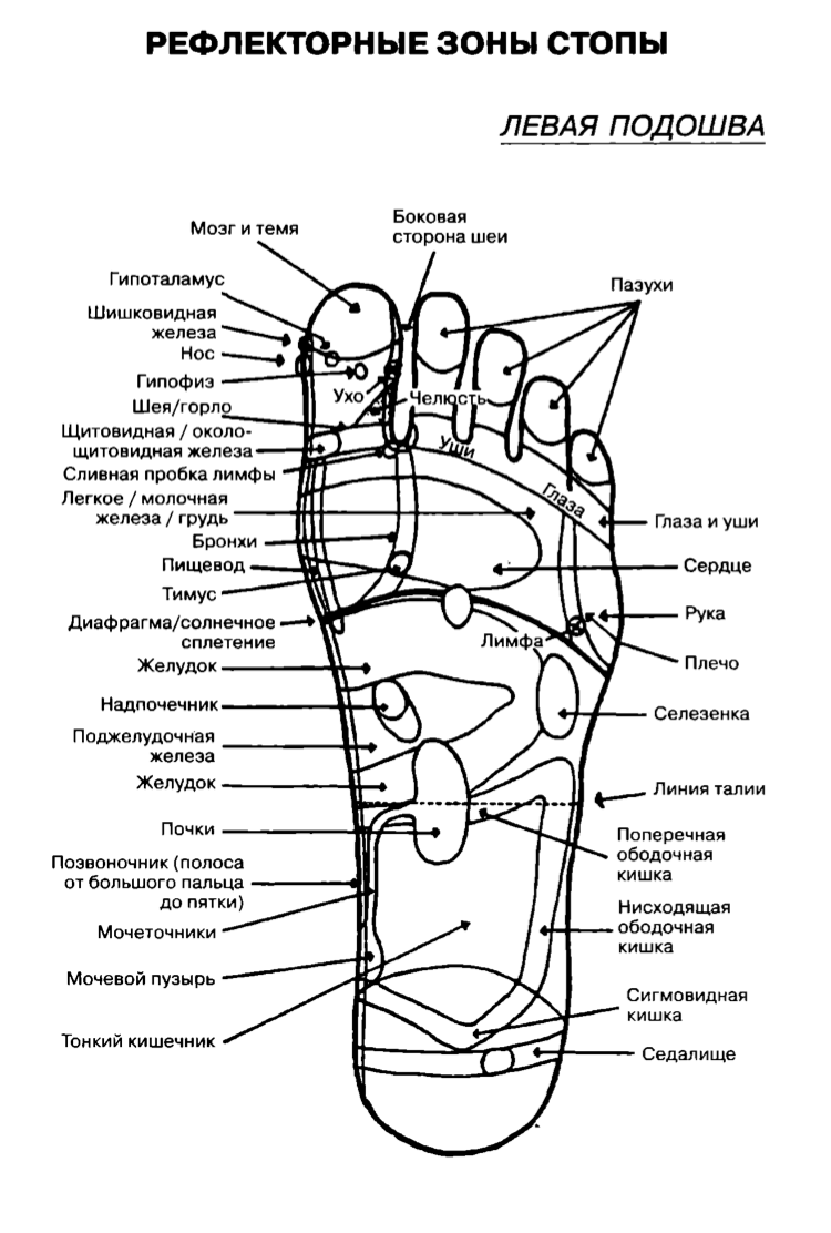 Каналы подошвы. Акупунктурные точки на ступнях ног схема. Точки акупунктуры на стопе человека атлас. Рефлекторные зоны стопы схема. Точечный массаж ступней схема.