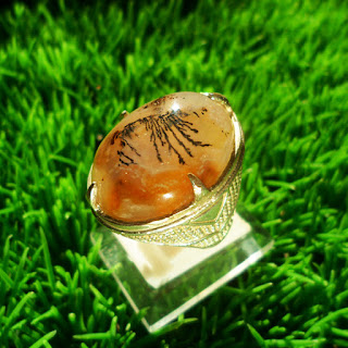 mustika dayak asli jual mustika dayak, mustika dayak ampuh, mahar mustika, batu akik motif