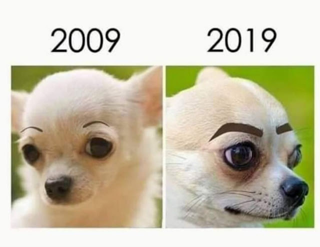 Memes engraçados Memes engraçados