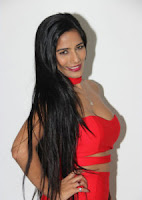poonam pandey hot red dress photos%2B%2B%2B%252819%2529