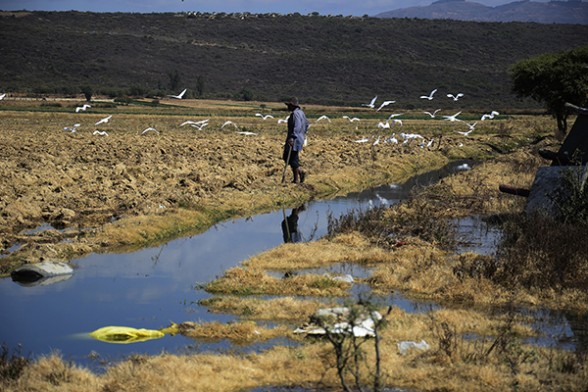 Bolivia: El cambio climático y la actividad minera inciden en la baja del caudal en cuatro lagunas