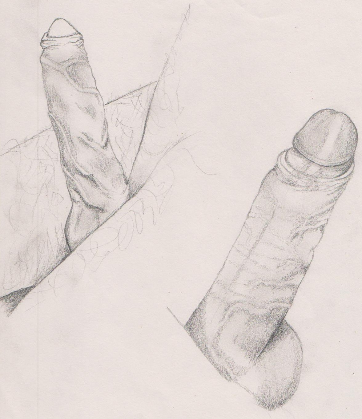 Hard dick sketch