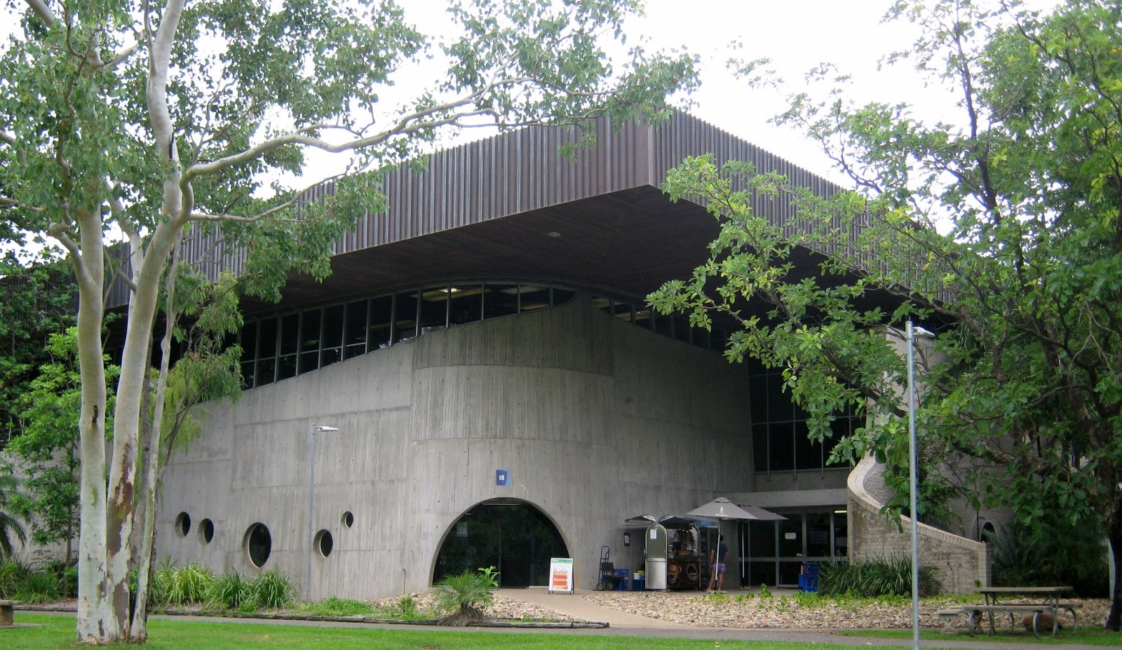 Little Darwin: TOWNSVILLE TREASURES