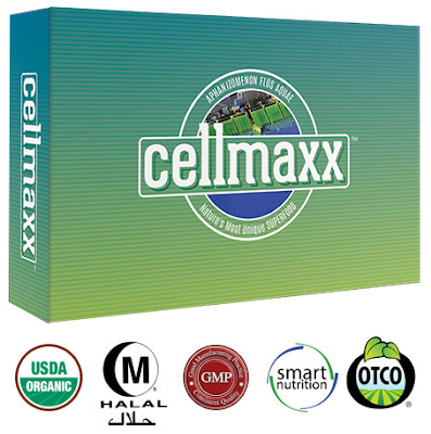 cellmaxx super food bernutrisi tinggi ampuh obati kanker