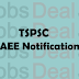 TSPSC AEE Notification 2017–18 Assistant Executive Engineer (463 Jobs)