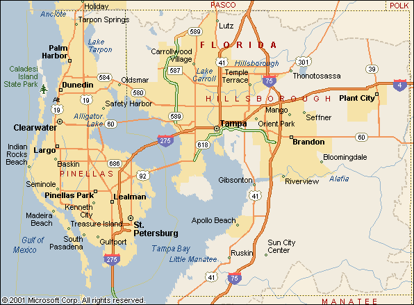 Bmw repairs in tampa bay florida area #5