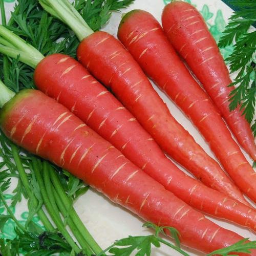 Carrot Benefits Urdu Gajar Ke Fawaid Carrot Juice Gajar Benefits In