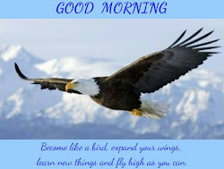 wings fly bird things morning expand become quote learn