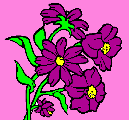 Featured image of post Desenho De Flores Coloridas cada desenho mais lindo que o outro