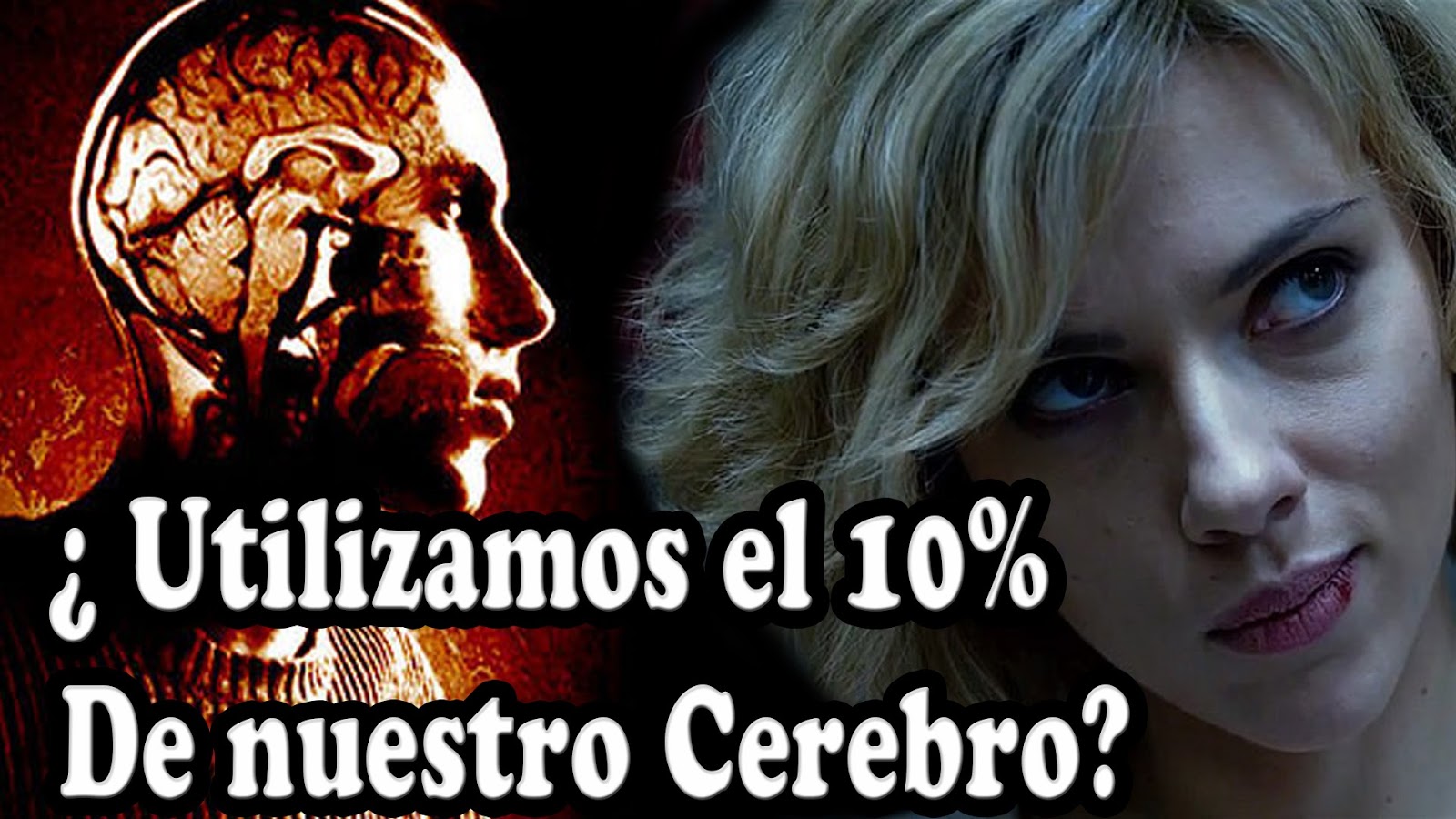 ¿QUÉ PASARÍA SI USÁRAMOS EL 100 DE NUESTRO CEREBRO? ♥ LA LUMINOSIDAD DEL SER ♥ por Lida Spears ¿QUÉ PASARÍA SI USÁRAMOS EL 100 DE NUESTRO CEREBRO? ♥ LA LUMINOSIDAD DEL SER ♥ por Lida Spears