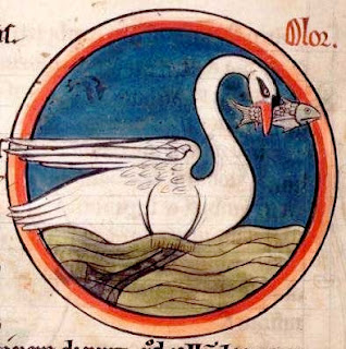 origine image : http://bestiary.ca/beasts/beast237.htm